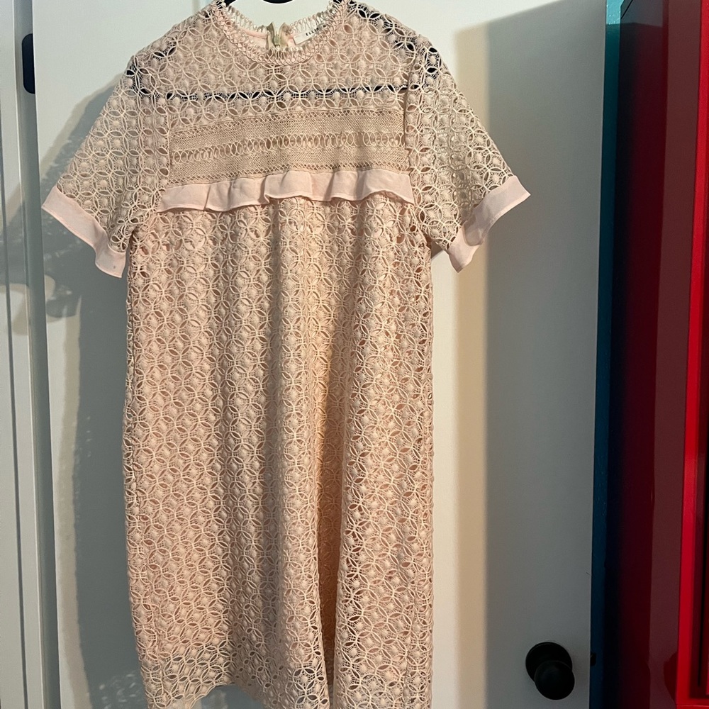 Ellison brand blush lace dress in size medium. Completely lined.